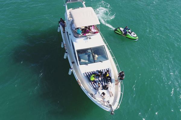 阿特米斯48英尺（海天）